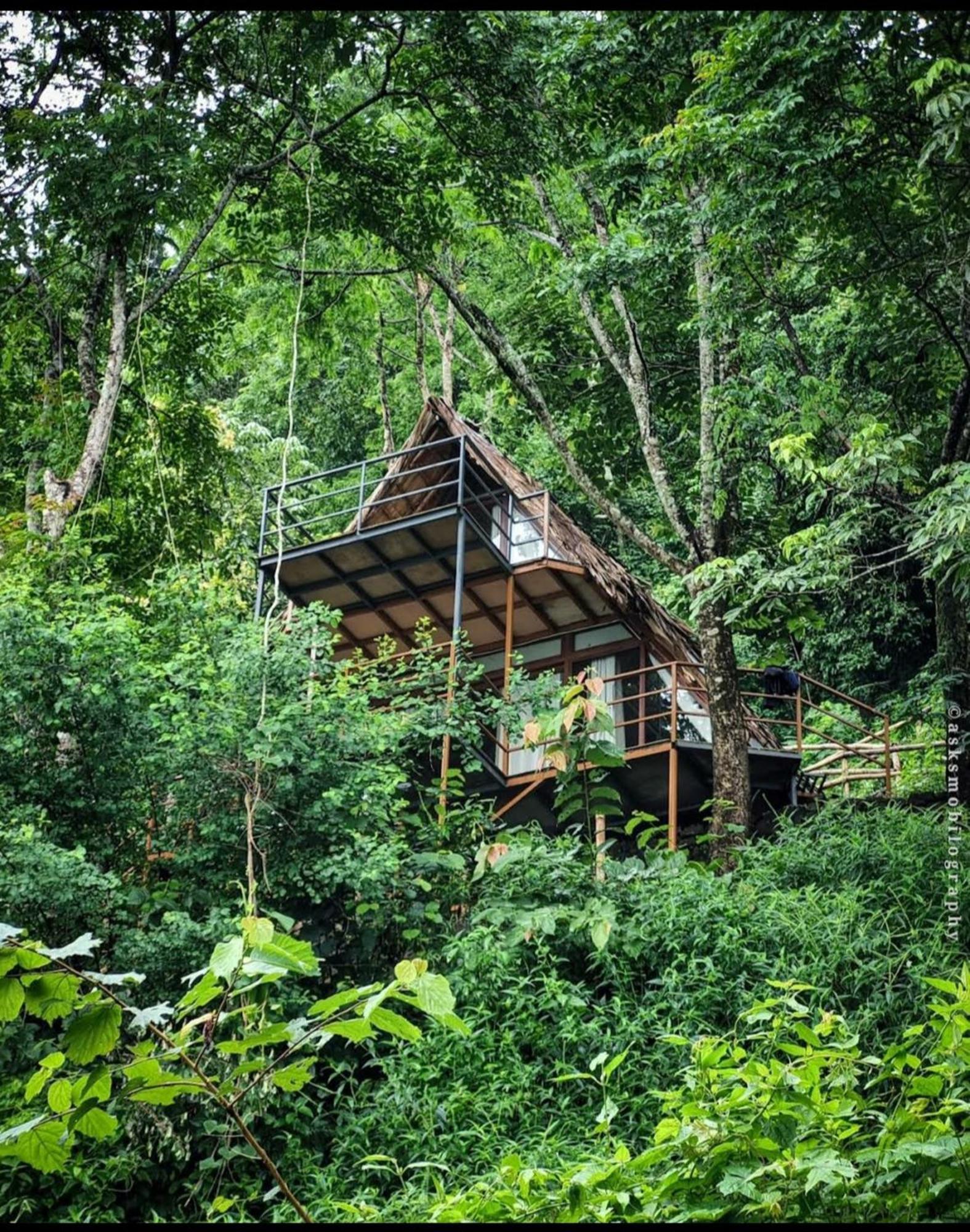 Sunset Valley Kerala Pool Resort - Serene Natural Forest Cottage Stay In Idukki With Sunrise & Sunset Panoramas, Natural Streams & Tranquil Summer Evenings Pīrmed Exteriör bild